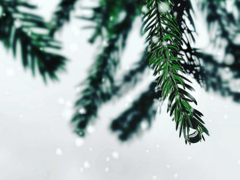 White Christmas ή White Coffee?