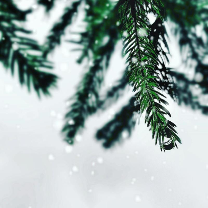 White Christmas ή White Coffee?